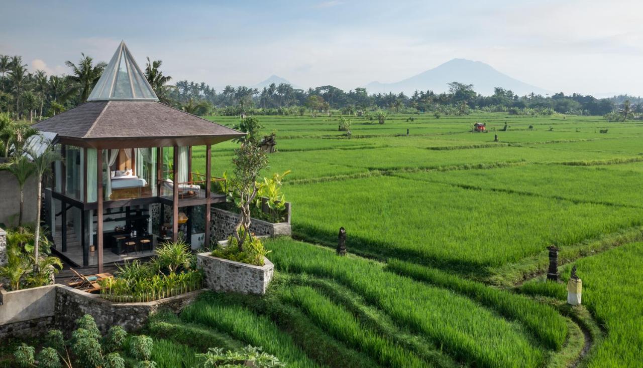 Gdas Bali Health And Wellness Resort Ubud Exteriér fotografie