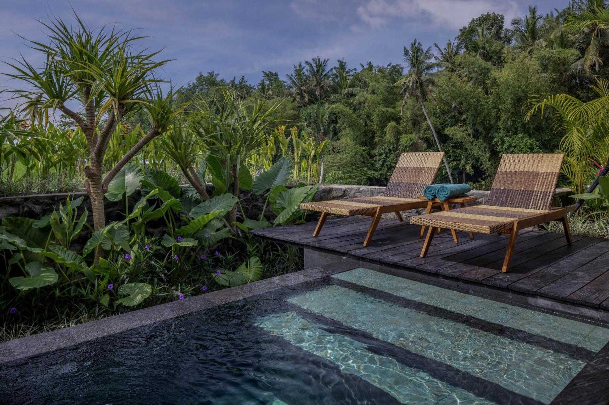 Gdas Bali Health And Wellness Resort Ubud Exteriér fotografie