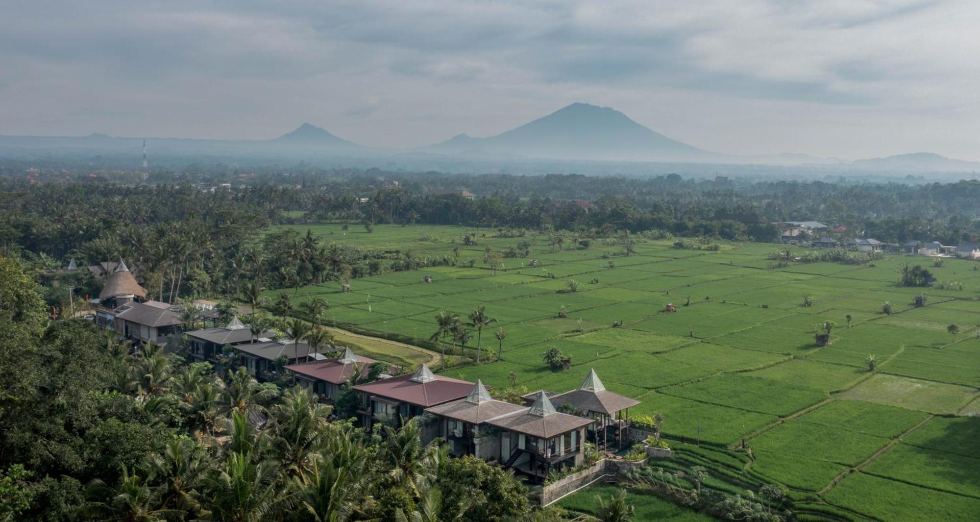 Gdas Bali Health And Wellness Resort Ubud Exteriér fotografie