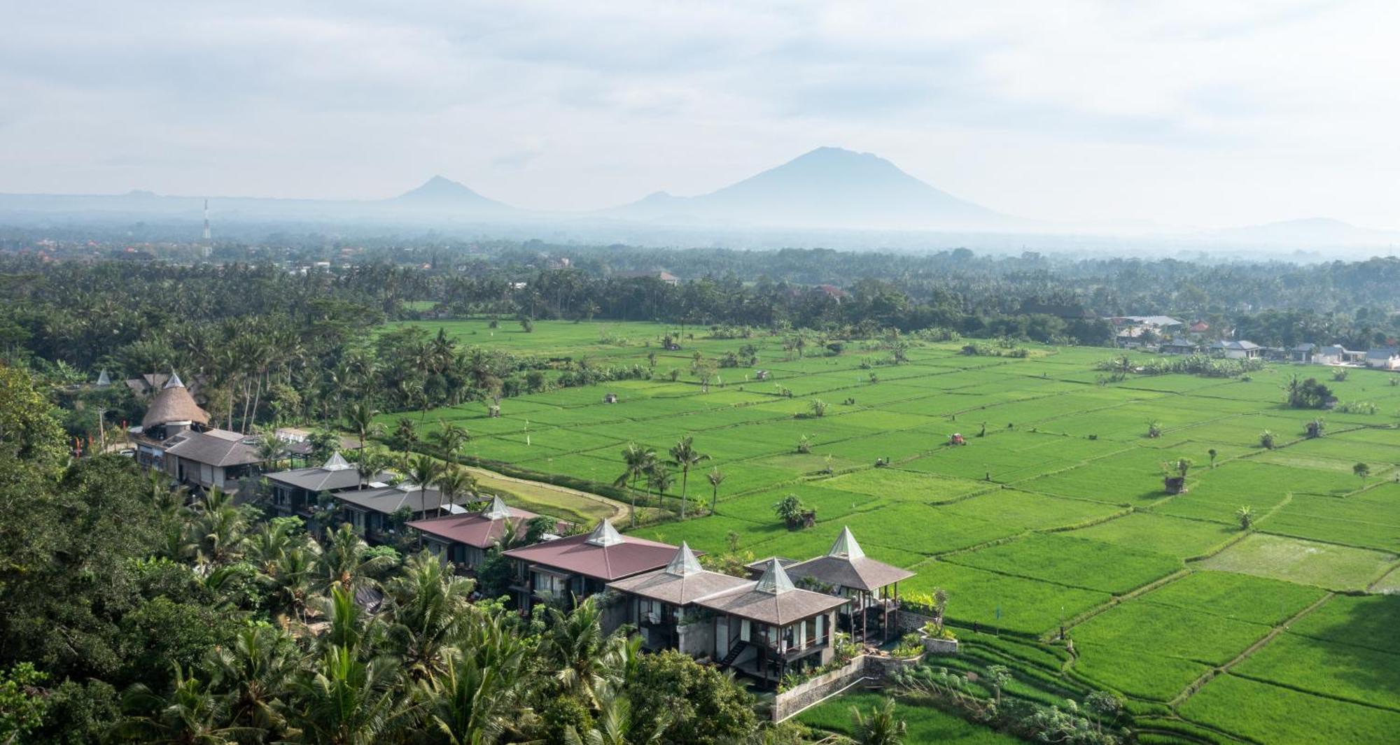 Gdas Bali Health And Wellness Resort Ubud Exteriér fotografie